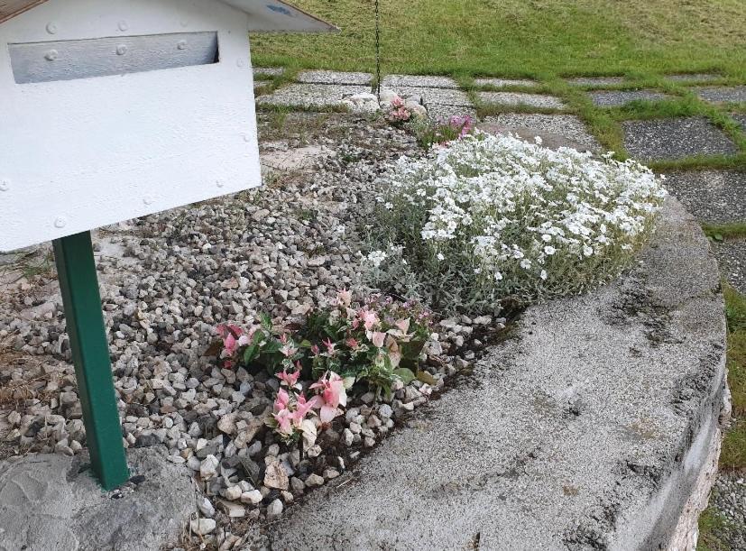 Graziosa Bifamiliare Ad Asiago Con Giardino Privato Kültér fotó