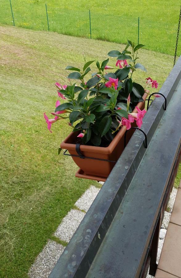 Graziosa Bifamiliare Ad Asiago Con Giardino Privato Kültér fotó